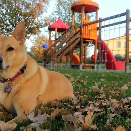 Auch Fuer Rollstuhlfahrer Zugaenglich, Tiere Sind Ebenfalls Willkommen